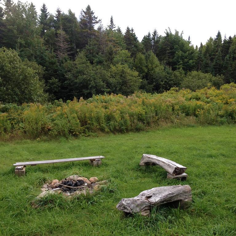 Gasthaus Breton Cove Farmhouse Indian Brook Exterior foto