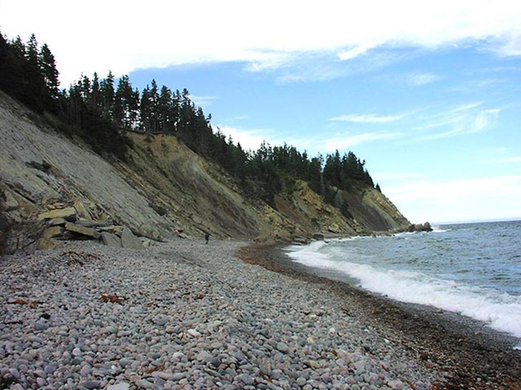 Gasthaus Breton Cove Farmhouse Indian Brook Exterior foto