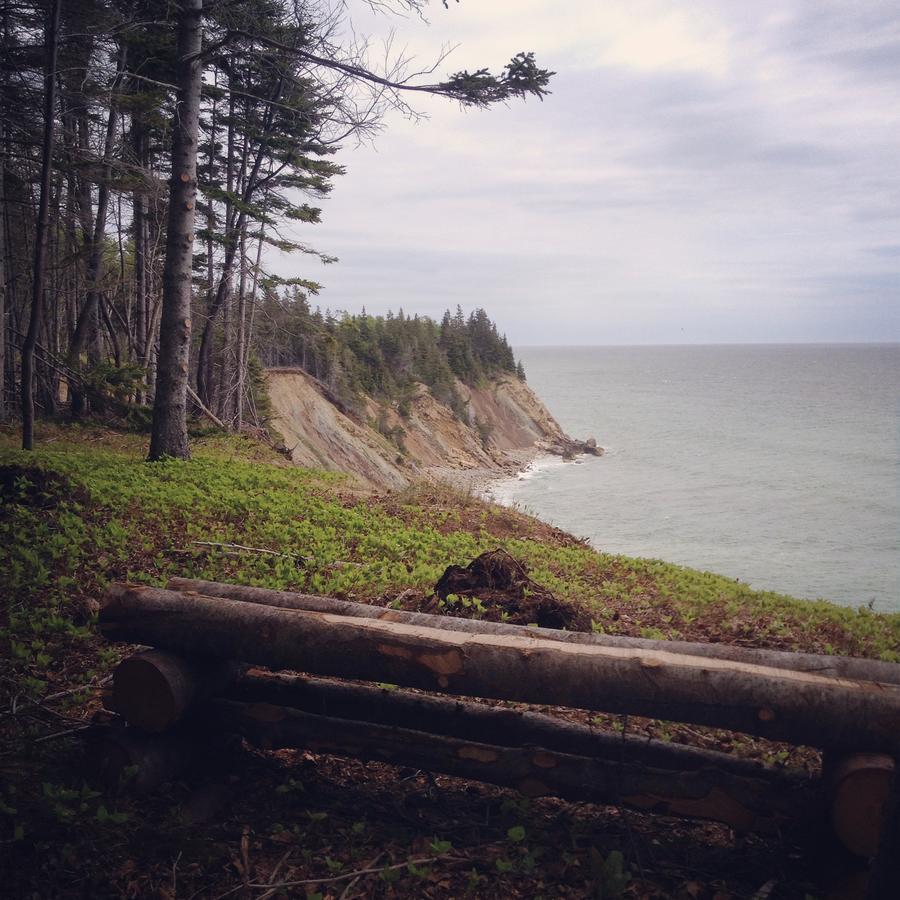 Gasthaus Breton Cove Farmhouse Indian Brook Exterior foto